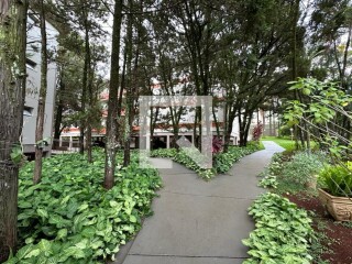 Condomnio Edifcio Rubens Tormena Parque dos Bandeirantes Ribeiro Preto Alugue ou Compre QuintoAndar