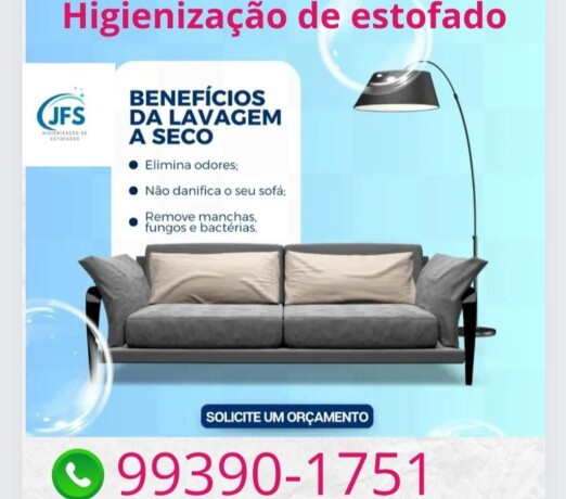 higienizaco-de-estofado-sao-leopoldo-rs-profissionais-liberais-no-327720822-big-0