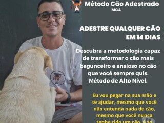 Curso Metodo Co Adestradode 70 viedo aulas por 12x R968 Planalto Uruguai Cursos no [***] 