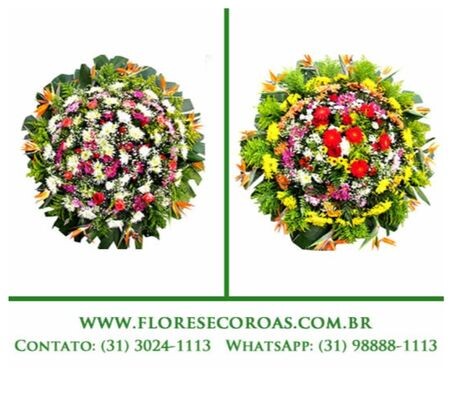 parque-da-colina-bh-entrega-coroa-de-flores-belo-horizonte-centrosul-servicos-especializados-no-305129917-big-0