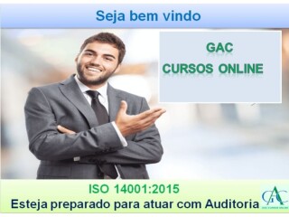 Curso Online Auditor Interno Sistema de Gesto Integrada Porto Velho RO cursos tcnicos enfermagem esttica profissionalizantes [***] 