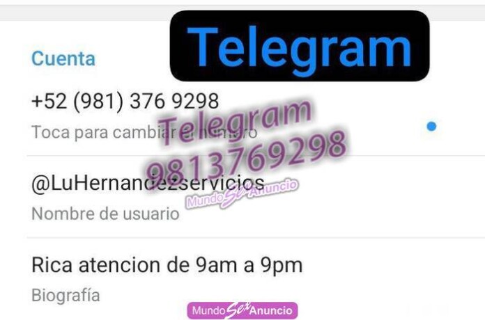 lu-hernandez-servicioooss-variooss-en-campeche-9813769298-big-1