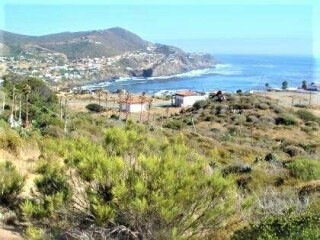 Terreno en venta en la buifadora en Ensenada | Clasf aficiones-y-ocio