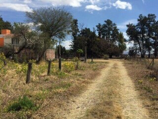 Terreno en paseo solidaridad, popular- en venta. en Irapuato | Clasf animales