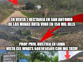 Terreno en venta en san antonio de las minas ruta vino 2500 mts opcion 1 hectarea en Ensenada | Clasf inmobiliaria