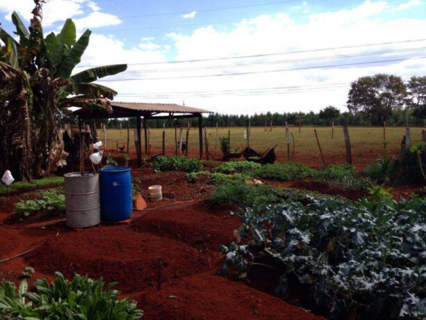 chacara-sitio-e-rancho-de-temporada-em-senador-canedo-senador-canedo-goias-chacara-dois-irmaos-2i-big-3