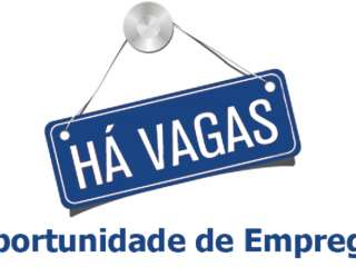 Vaga de emprego para Vendedor em São Bernardo do Campo, SP | Empregos - 